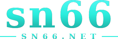 sn66 logo